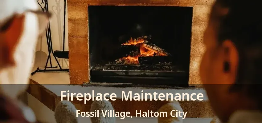 Fireplace Maintenance Fossil Village, Haltom City - TX