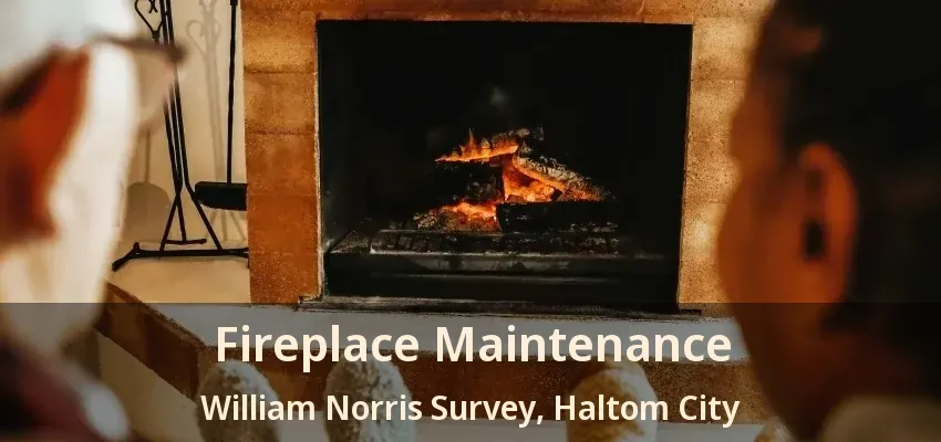 Fireplace Maintenance William Norris Survey, Haltom City - TX