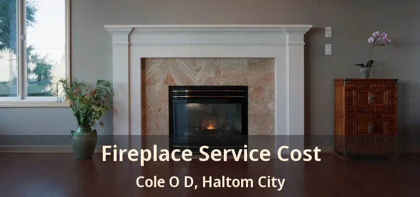 Fireplace Service Cost Cole O D, Haltom City - TX