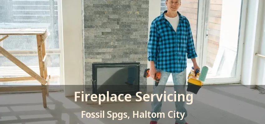 Fireplace Servicing Fossil Spgs, Haltom City - TX