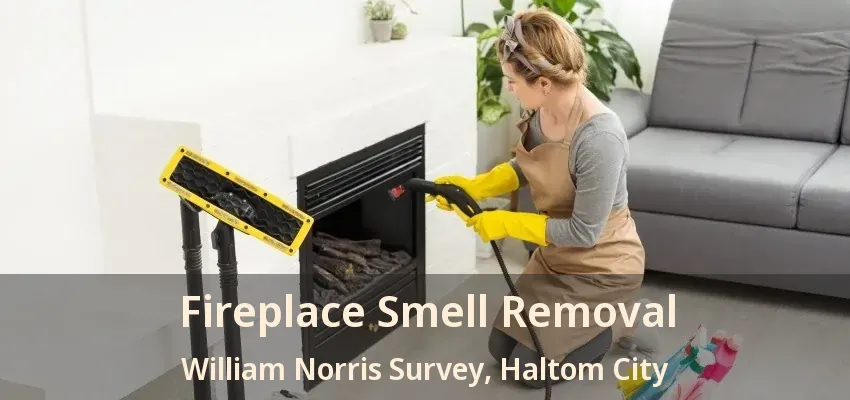 Fireplace Smell Removal William Norris Survey, Haltom City - TX