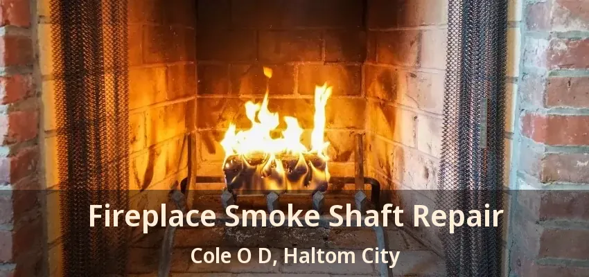 Fireplace Smoke Shaft Repair Cole O D, Haltom City - TX