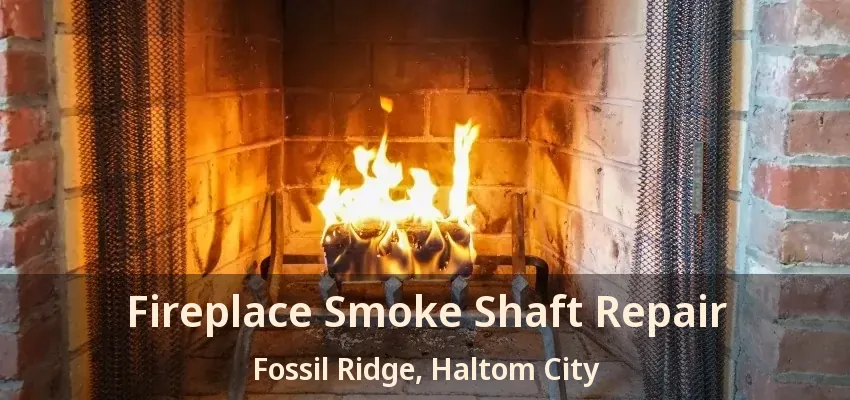 Fireplace Smoke Shaft Repair Fossil Ridge, Haltom City - TX