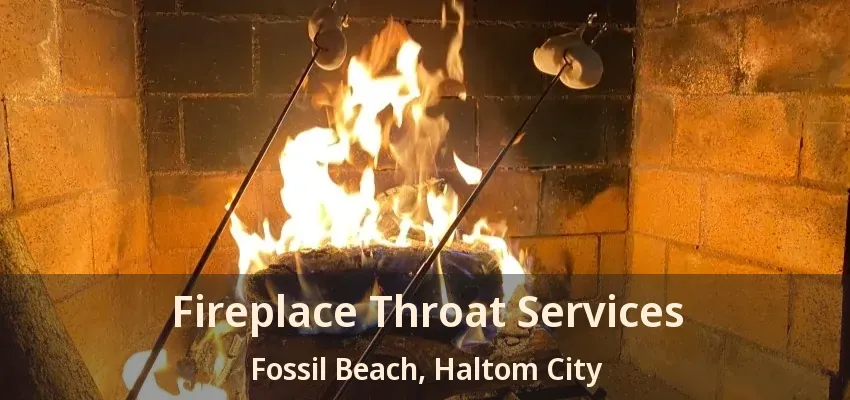 Fireplace Throat Services Fossil Beach, Haltom City - TX