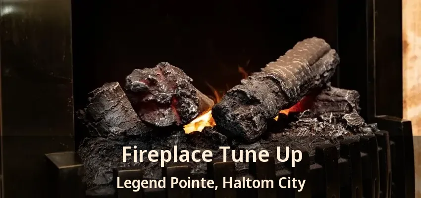 Fireplace Tune Up Legend Pointe, Haltom City - TX