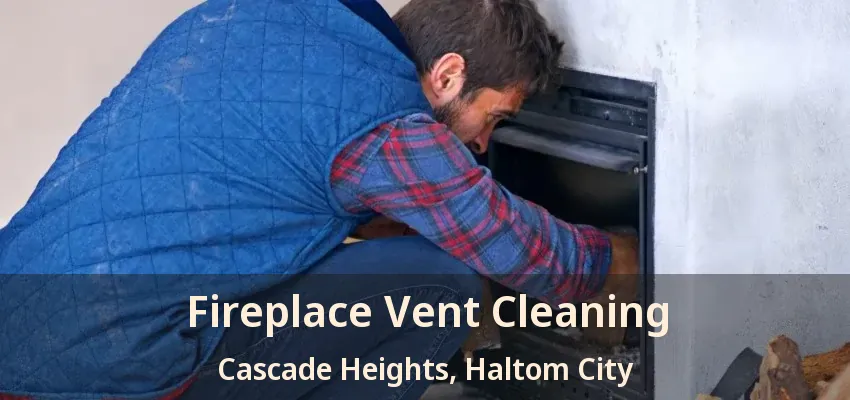 Fireplace Vent Cleaning Cascade Heights, Haltom City - TX