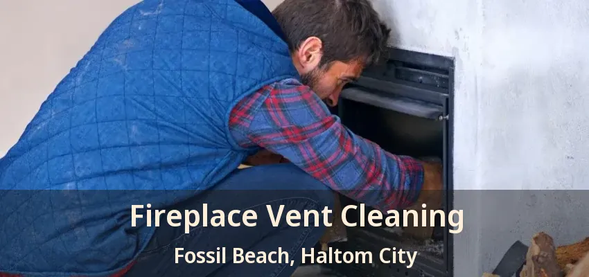 Fireplace Vent Cleaning Fossil Beach, Haltom City - TX