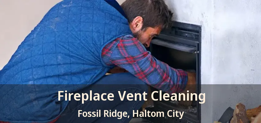 Fireplace Vent Cleaning Fossil Ridge, Haltom City - TX