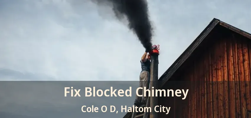 Fix Blocked Chimney Cole O D, Haltom City - TX