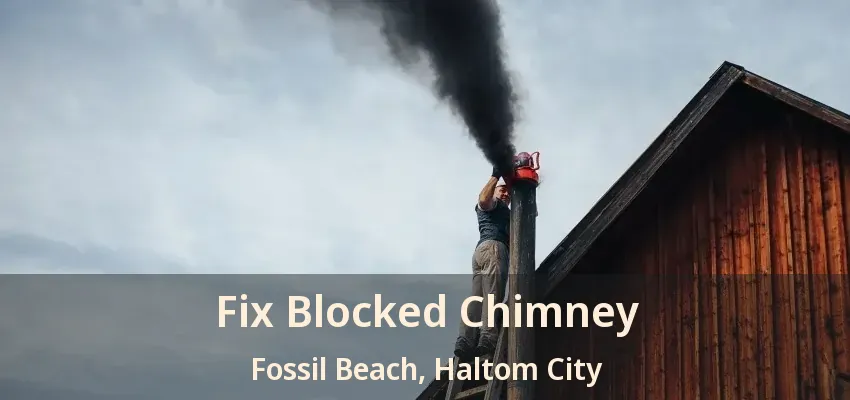 Fix Blocked Chimney Fossil Beach, Haltom City - TX