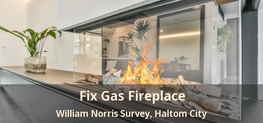 Fix Gas Fireplace William Norris Survey, Haltom City - TX