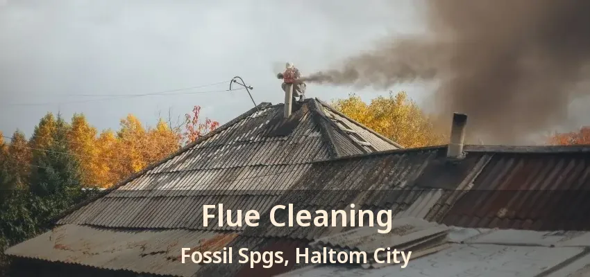 Flue Cleaning Fossil Spgs, Haltom City - TX