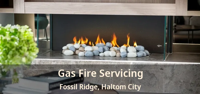 Gas Fire Servicing Fossil Ridge, Haltom City - TX