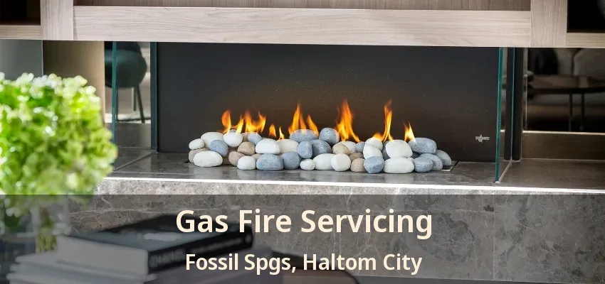 Gas Fire Servicing Fossil Spgs, Haltom City - TX