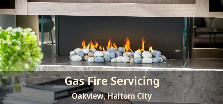 Gas Fire Servicing Oakview, Haltom City - TX