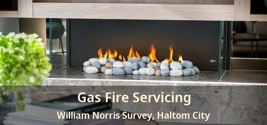 Gas Fire Servicing William Norris Survey, Haltom City - TX