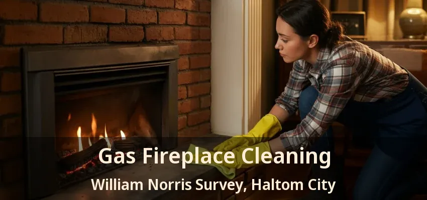 Gas Fireplace Cleaning William Norris Survey, Haltom City - TX