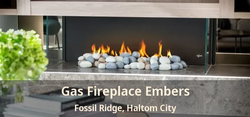 Gas Fireplace Embers Fossil Ridge, Haltom City - TX