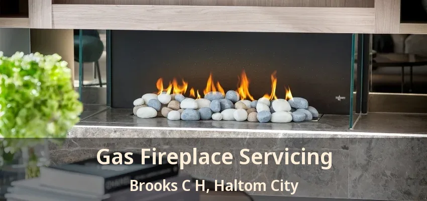 Gas Fireplace Servicing Brooks C H, Haltom City - TX
