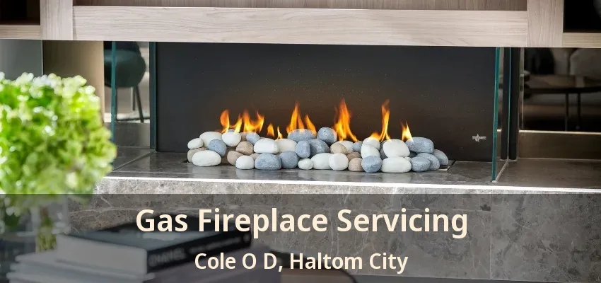 Gas Fireplace Servicing Cole O D, Haltom City - TX