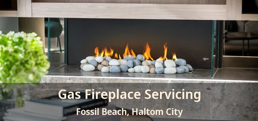 Gas Fireplace Servicing Fossil Beach, Haltom City - TX
