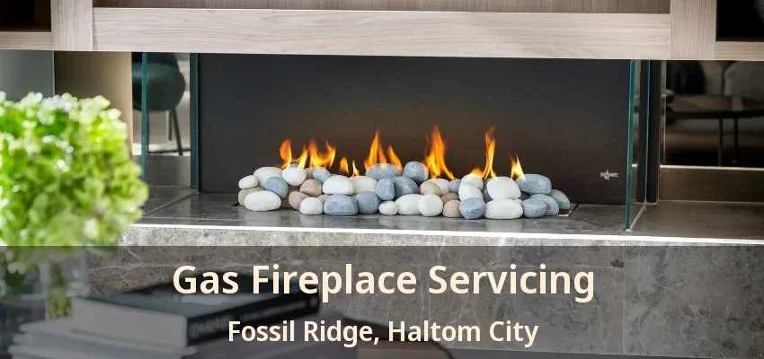 Gas Fireplace Servicing Fossil Ridge, Haltom City - TX