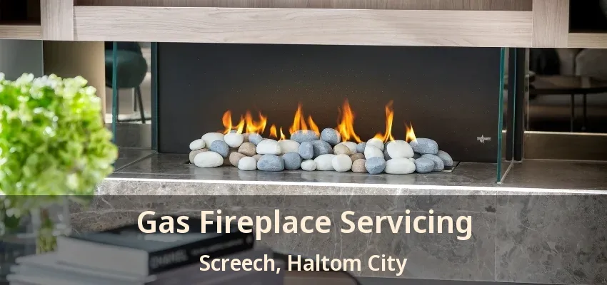 Gas Fireplace Servicing Screech, Haltom City - TX