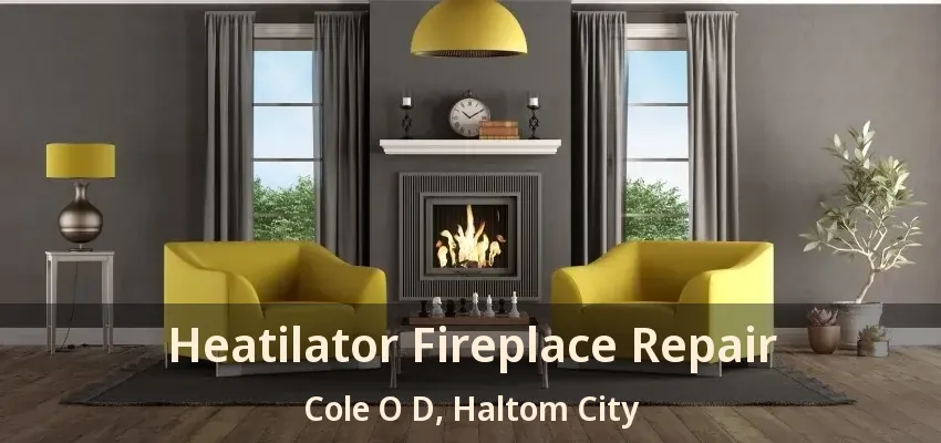Heatilator Fireplace Repair Cole O D, Haltom City - TX