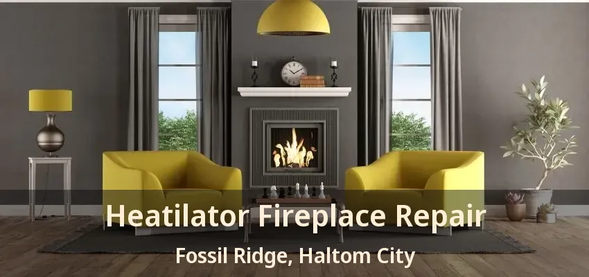 Heatilator Fireplace Repair Fossil Ridge, Haltom City - TX