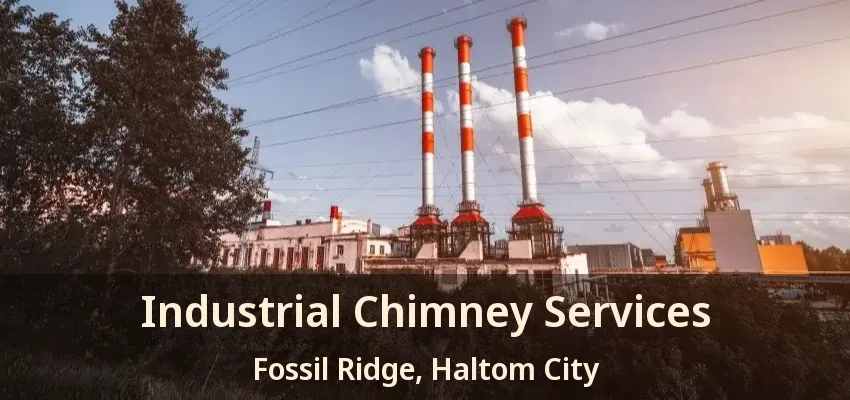Industrial Chimney Services Fossil Ridge, Haltom City - TX