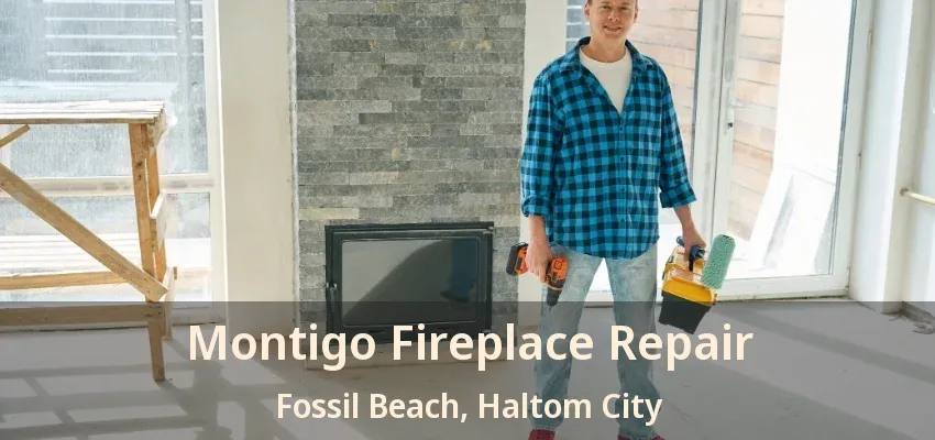 Montigo Fireplace Repair Fossil Beach, Haltom City - TX