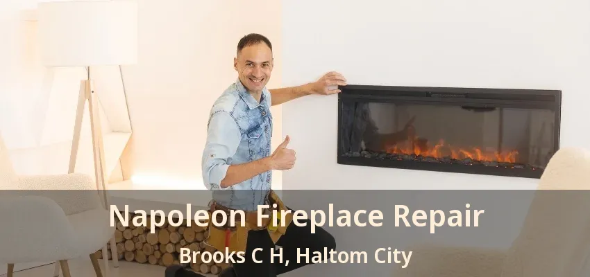 Napoleon Fireplace Repair Brooks C H, Haltom City - TX