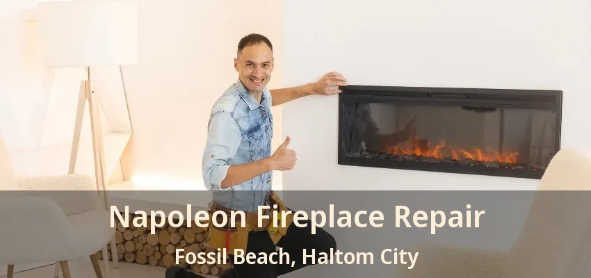 Napoleon Fireplace Repair Fossil Beach, Haltom City - TX