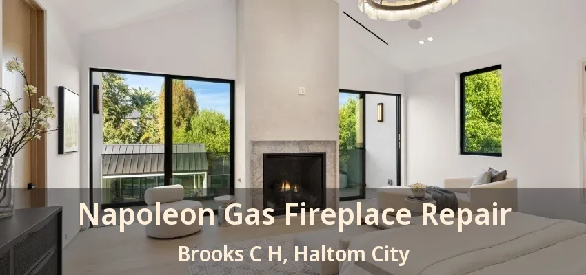 Napoleon Gas Fireplace Repair Brooks C H, Haltom City - TX