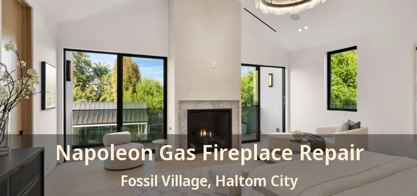 Napoleon Gas Fireplace Repair Fossil Village, Haltom City - TX