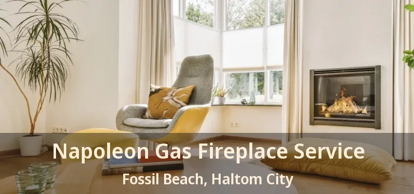 Napoleon Gas Fireplace Service Fossil Beach, Haltom City - TX