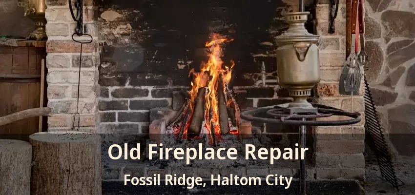 Old Fireplace Repair Fossil Ridge, Haltom City - TX