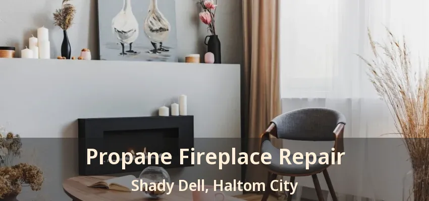 Propane Fireplace Repair Shady Dell, Haltom City - TX