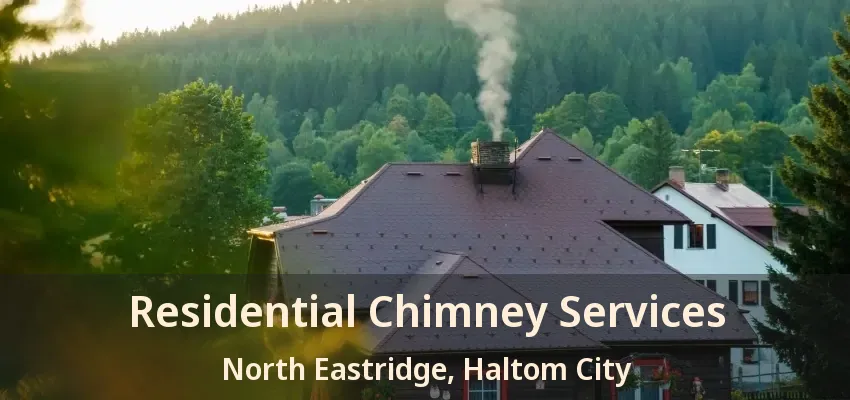 Residential Chimney Services North Eastridge, Haltom City - TX