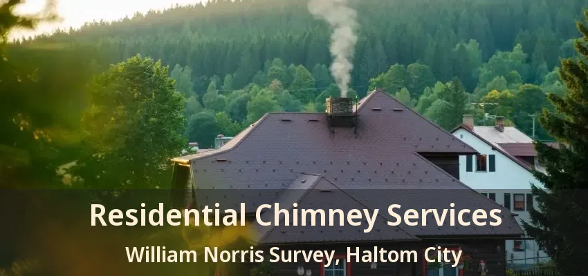 Residential Chimney Services William Norris Survey, Haltom City - TX