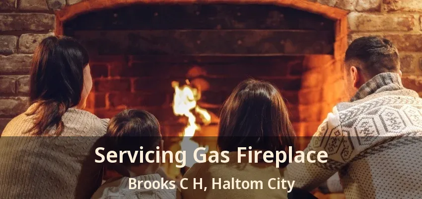 Servicing Gas Fireplace Brooks C H, Haltom City - TX