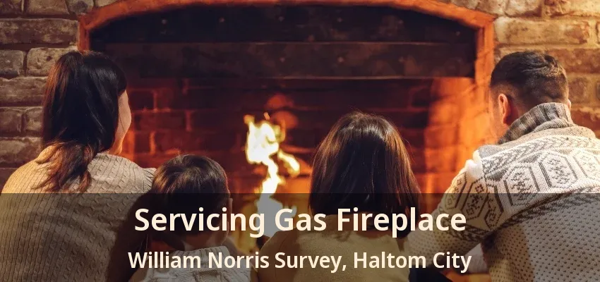 Servicing Gas Fireplace William Norris Survey, Haltom City - TX