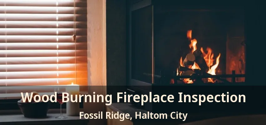 Wood Burning Fireplace Inspection Fossil Ridge, Haltom City - TX