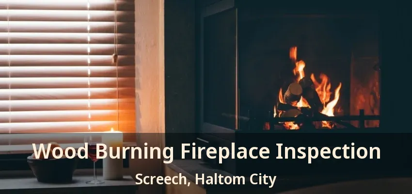 Wood Burning Fireplace Inspection Screech, Haltom City - TX