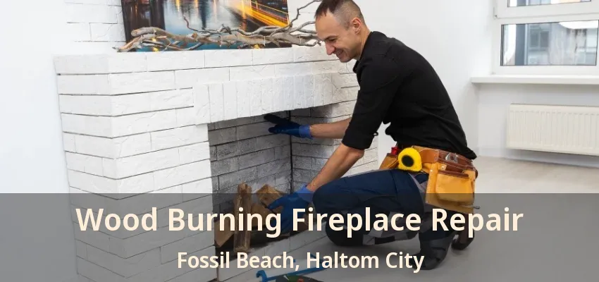 Wood Burning Fireplace Repair Fossil Beach, Haltom City - TX