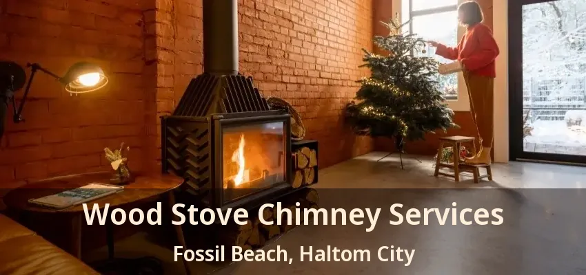 Wood Stove Chimney Services Fossil Beach, Haltom City - TX