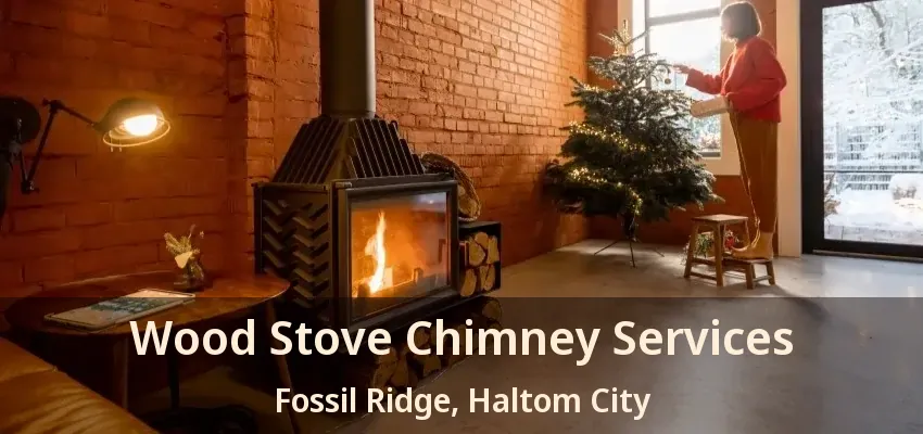 Wood Stove Chimney Services Fossil Ridge, Haltom City - TX