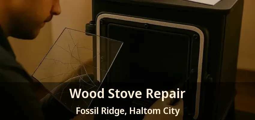 Wood Stove Repair Fossil Ridge, Haltom City - TX