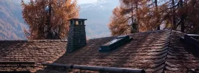 Chimney Animal Removal Haltom City