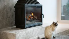 Wood Burning Fireplace Repair Haltom City